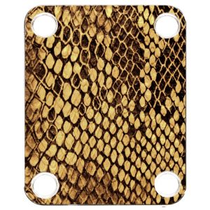 Snake Skin 1