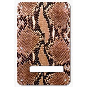 Snake Skin 2