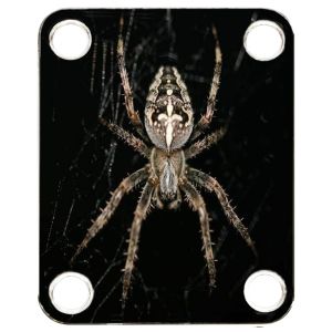 Spider 9