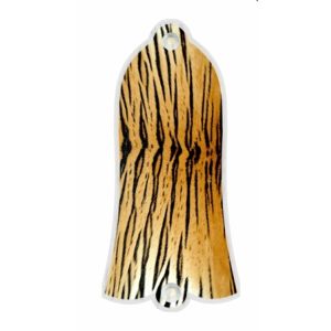 Tiger Print 1