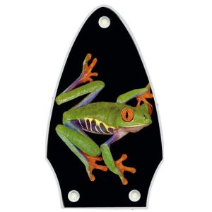 Tree Frog