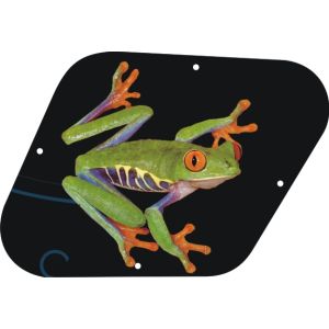 Tree Frog