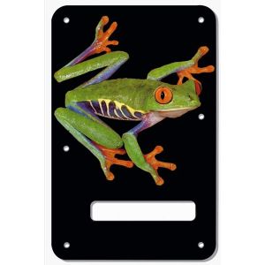 Tree Frog