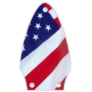 US Patriot 2