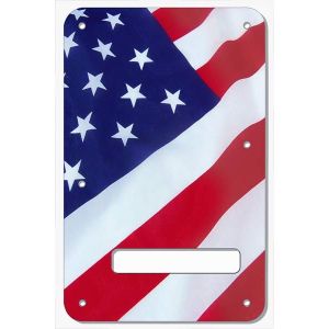 US Patriot 2