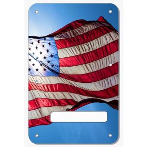 US Patriot 3