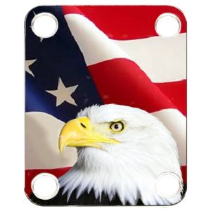 US Patriot Eagle 1