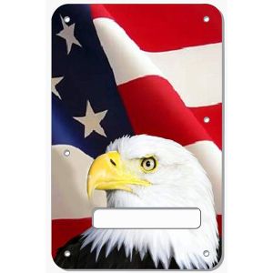 US Patriot Eagle 1