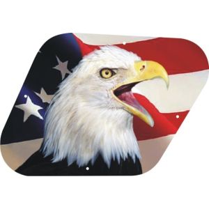 US Patriot Eagle 2