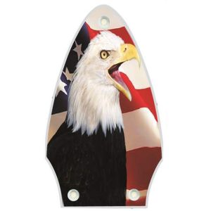 US Patriot Eagle 2