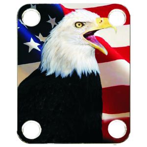 US Patriot Eagle 2