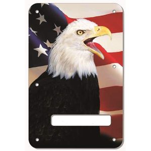 US Patriot Eagle 2