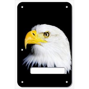 US Patriot Eagle BK