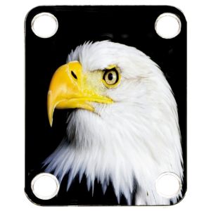 US Patriot Eagle
