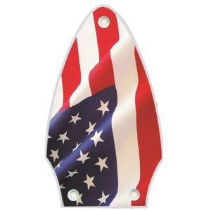 US Patriot