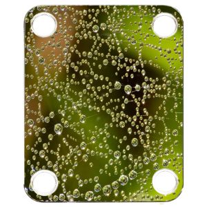 Water Droplets