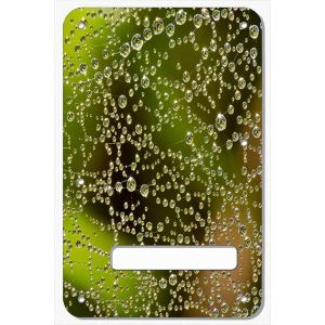Water Droplets