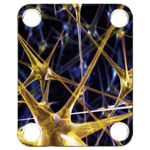 Web of Glass
