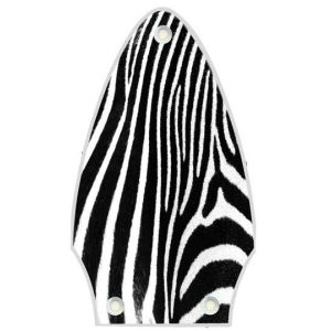 Zebra 2