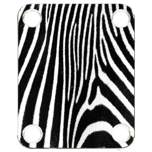 Zebra 2