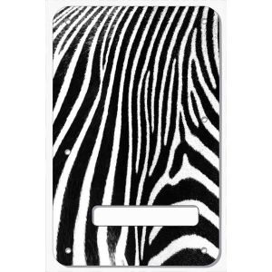 Zebra 2