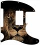 African Lion - 8 Hole H Tele