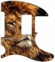 African Lion 4 - 8 Hole H Tele