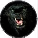 Black Panther