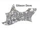 Gibson Dove Acoustic - Black White Shell Pickguard