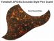 Yamaha APX-6A Acoustic - Brown Mix Tortoise Pickguard