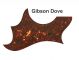 Gibson Dove Acoustic - Brown Tortoise Pickguard