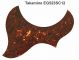 Takamine EG523SC-12 Acoustic - Brown Tortoise Pickguard