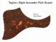 Taylor Acoustic - Brown Tortoise Pickguard