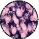 Bubbles 3