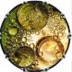 Bubbles 4