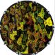 Camouflage Abstract 2