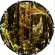 Camouflage Rain Forest 1