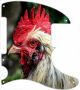 Chicken Look - Tele Esquire