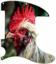 Chicken Look - Avril Lavigne Tele