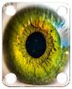 Eye Iris 1