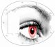 Eye White
