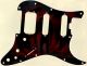 Mothman 1 - HSS Shawbucker Elite Strat