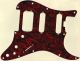 Paisley Black/Red - HSS Shawbucker Elite Strat