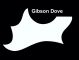 Gibson Dove Acoustic - Plain White Pickguard