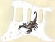 Scorpion - HSS Shawbucker Elite Strat