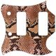 Snake Skin 2