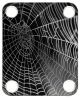 Spider Web Wet 1