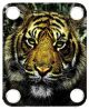 Tiger 3
