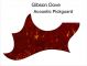 Gibson Dove Acoustic Pickguard