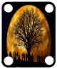 Tree Moon